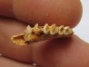KANGAROO jaw: LAGORCHESTES sp. conspicillatus - Pleistocene - AUSTRALIA