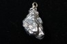 Météorite (PENDENTIF) Campo del Cielo
