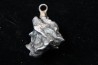 Météorite (PENDENTIF) Campo del Cielo