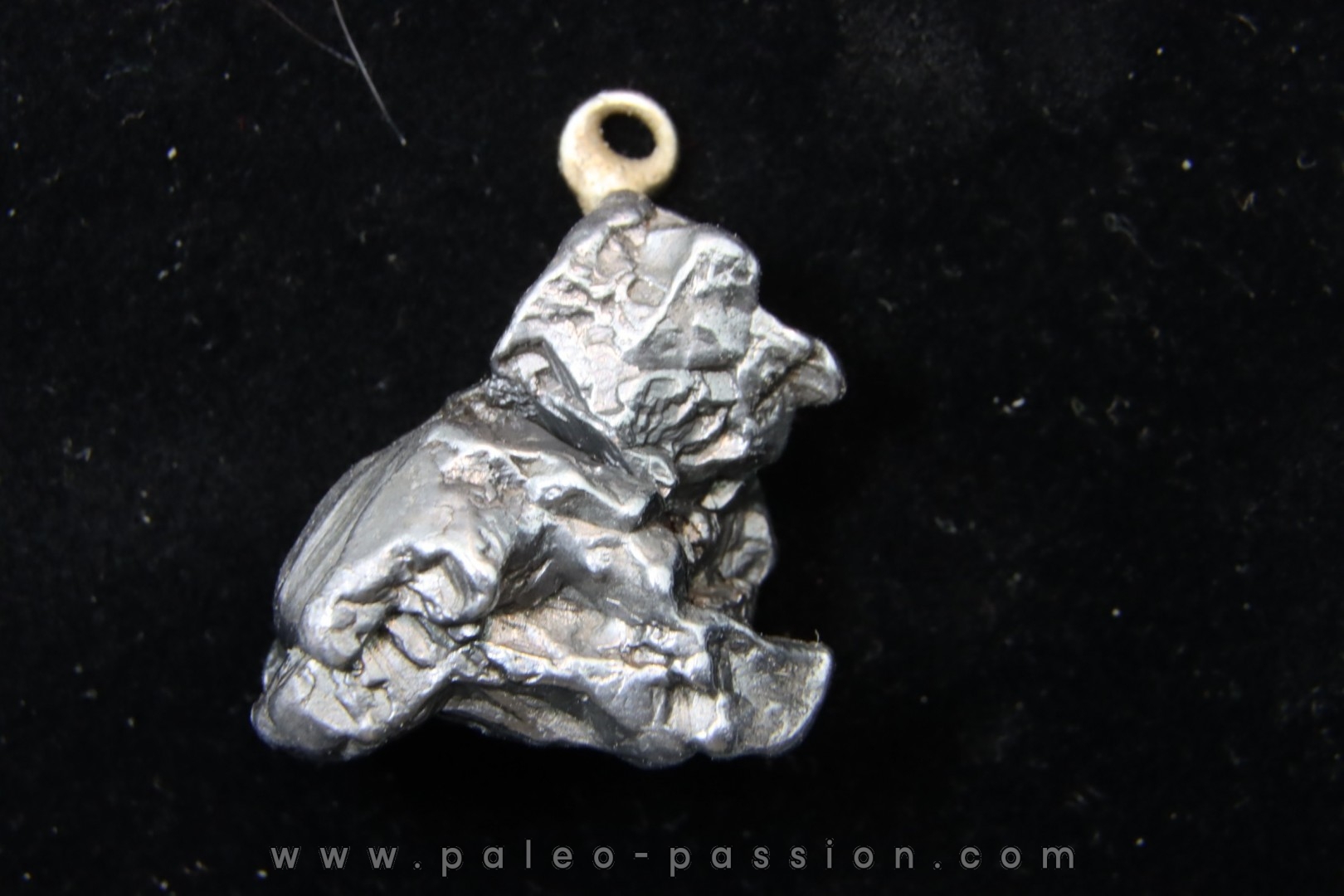 Météorite (PENDENTIF) Campo del Cielo