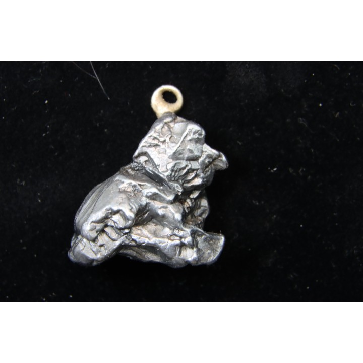 Meteorite (PENDANT) Campo del Cielo