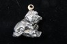 Météorite (PENDENTIF) Campo del Cielo