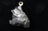 Meteorite (PENDANT) Campo del Cielo