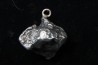 Météorite (PENDENTIF) Campo del Cielo