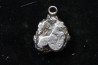 Météorite (PENDENTIF) Campo del Cielo