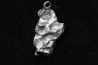 Meteorite (PENDANT) Campo del Cielo