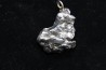 Météorite (PENDENTIF) Campo del Cielo