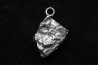 Meteorite (PENDANT) Campo del Cielo
