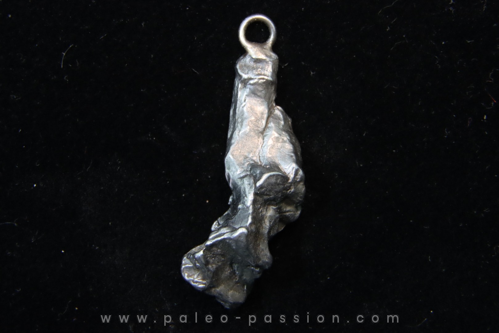 Météorite (PENDENTIF) Campo del Cielo