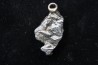 Meteorite (PENDANT) Campo del Cielo
