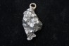 Météorite (PENDENTIF) Campo del Cielo