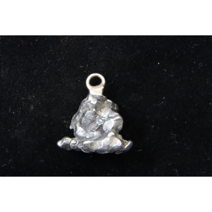 Meteorite (PENDANT) Campo del Cielo