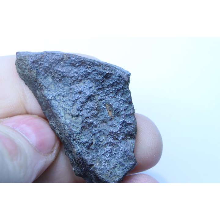 METEORITE slice  Ordinary chondrite NWA