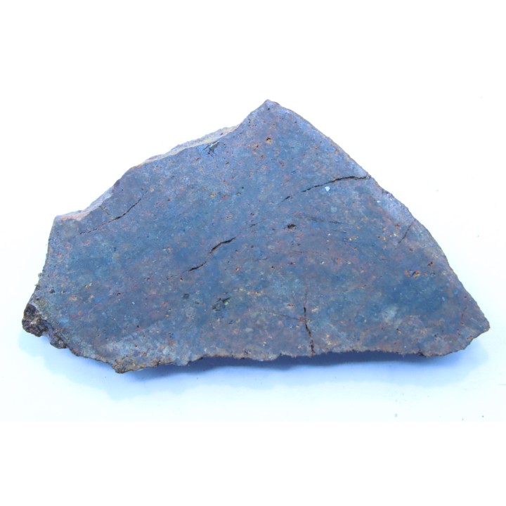 Météorite sciée: CHONDRITE Ordinaire NWA