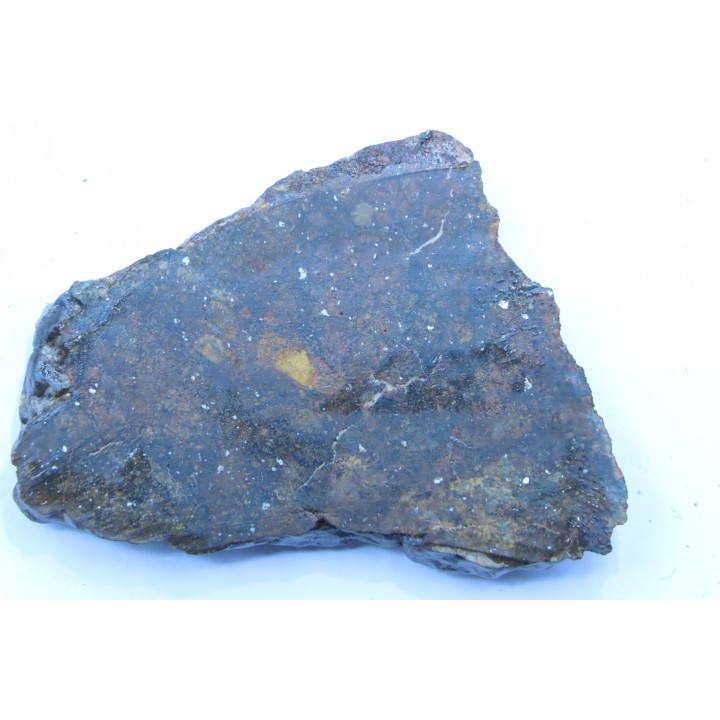 Météorite sciée: CHONDRITE Ordinaire NWA