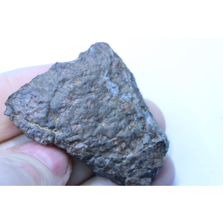 Météorite sciée: CHONDRITE Ordinaire NWA