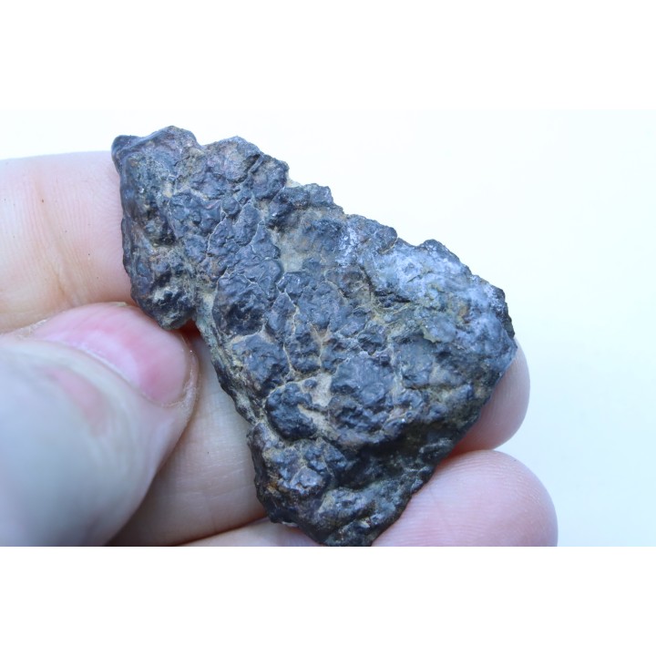 METEORITE slice  Ordinary chondrite NWA