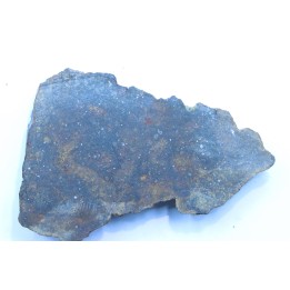 METEORITE slice  Ordinary chondrite NWA