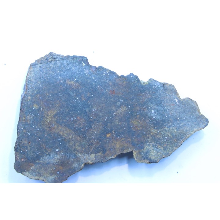 Météorite sciée: CHONDRITE Ordinaire NWA