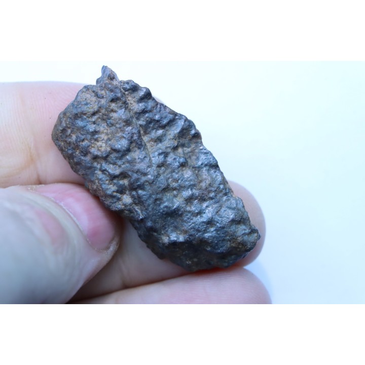 Météorite sciée: CHONDRITE Ordinaire NWA