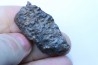 METEORITE slice Ordinary chondrite NWA