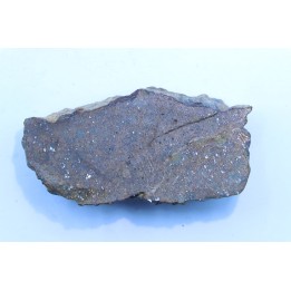 METEORITE slice  Ordinary chondrite NWA