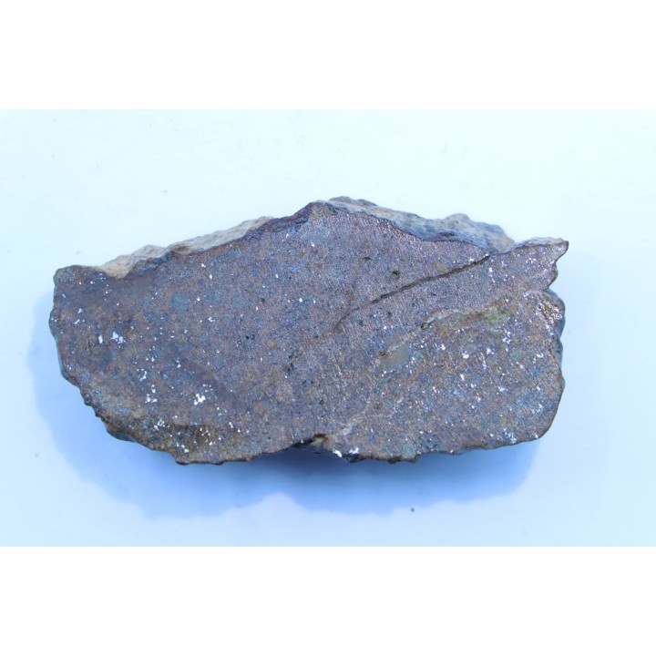 Météorite sciée: CHONDRITE Ordinaire NWA