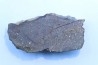 METEORITE slice Ordinary chondrite NWA