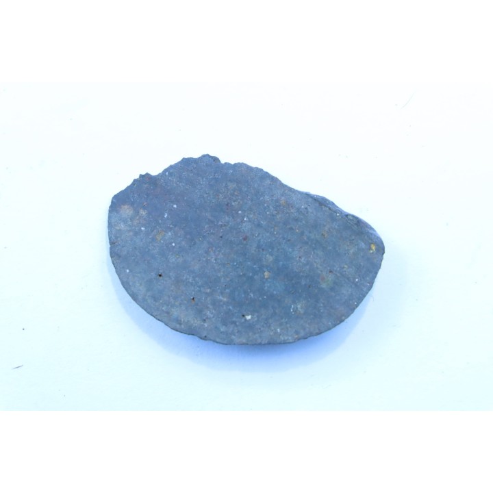 Météorite sciée: CHONDRITE Ordinaire NWA
