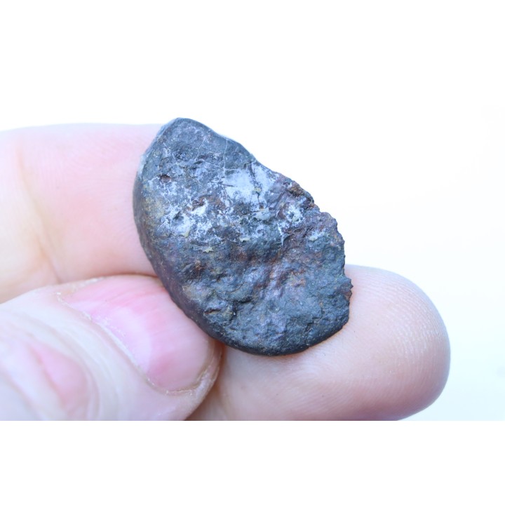Météorite sciée: CHONDRITE Ordinaire NWA