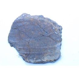 METEORITE slice  Ordinary chondrite NWA