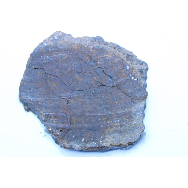 METEORITE slice  Ordinary chondrite NWA