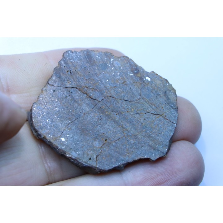 Météorite sciée: CHONDRITE Ordinaire NWA
