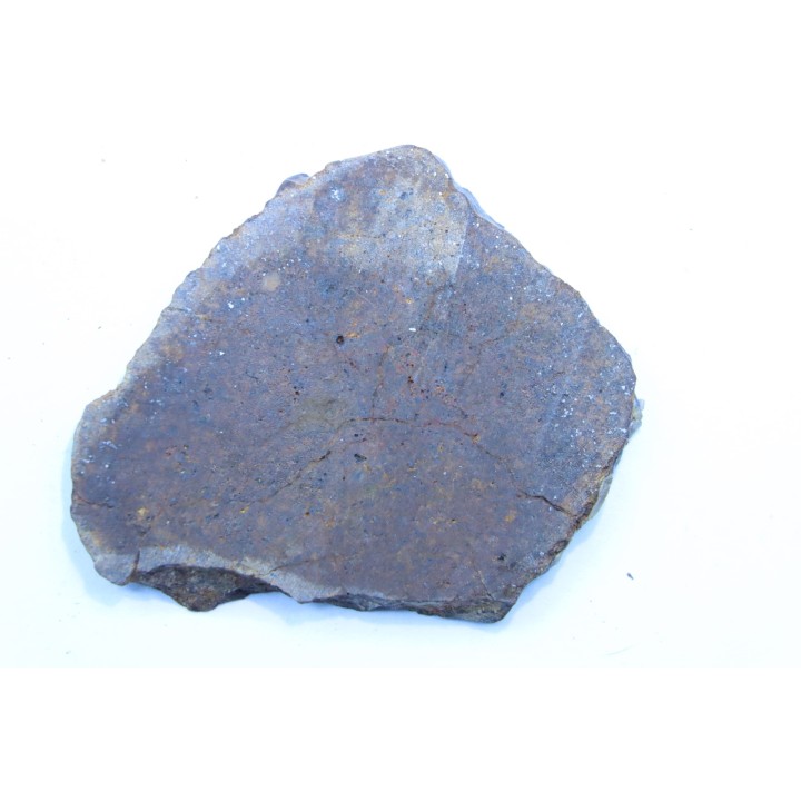 METEORITE slice  Ordinary chondrite NWA