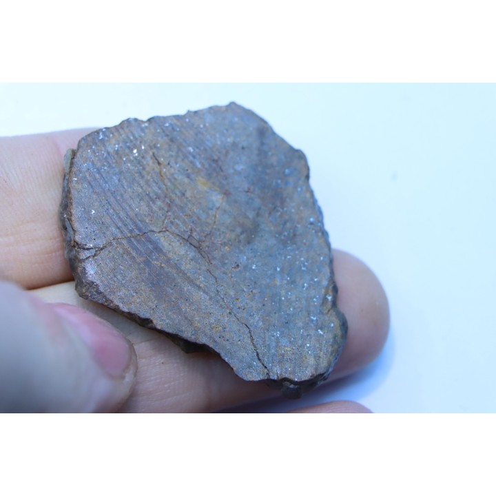 Météorite sciée: CHONDRITE Ordinaire NWA