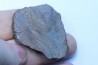 METEORITE slice Ordinary chondrite NWA