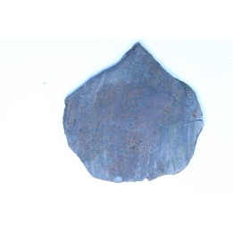 METEORITE slice  Ordinary chondrite NWA