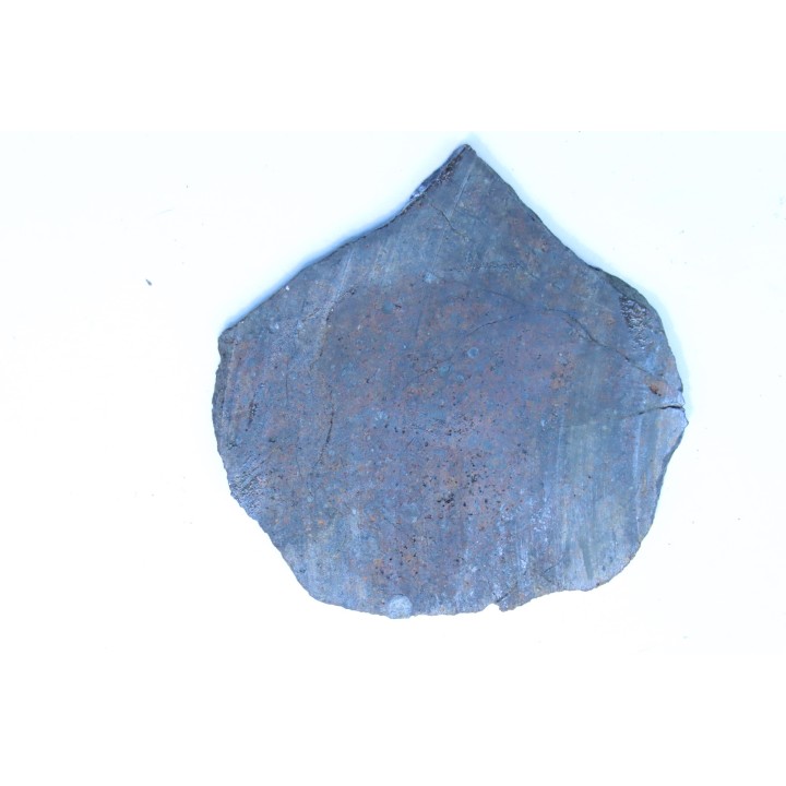 Météorite sciée: CHONDRITE Ordinaire NWA
