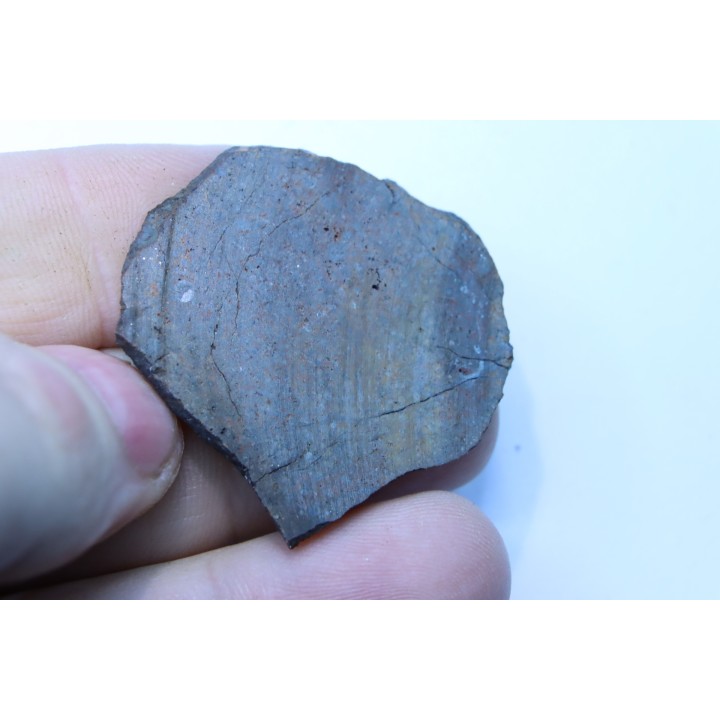 Météorite sciée: CHONDRITE Ordinaire NWA