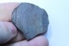 Météorite sciée: CHONDRITE Ordinaire NWA