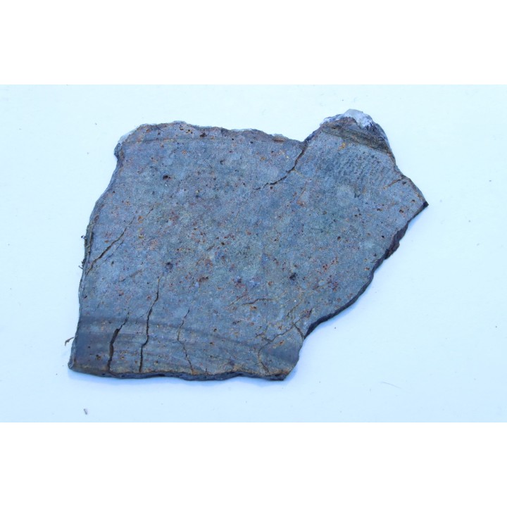 METEORITE slice  Ordinary chondrite NWA