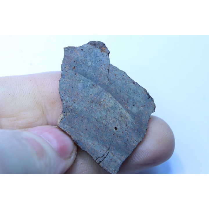 Météorite sciée: CHONDRITE Ordinaire NWA