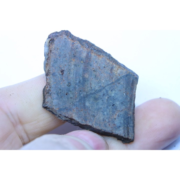 METEORITE slice  Ordinary chondrite NWA