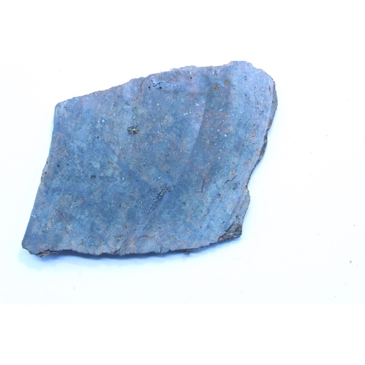 METEORITE slice  Ordinary chondrite NWA