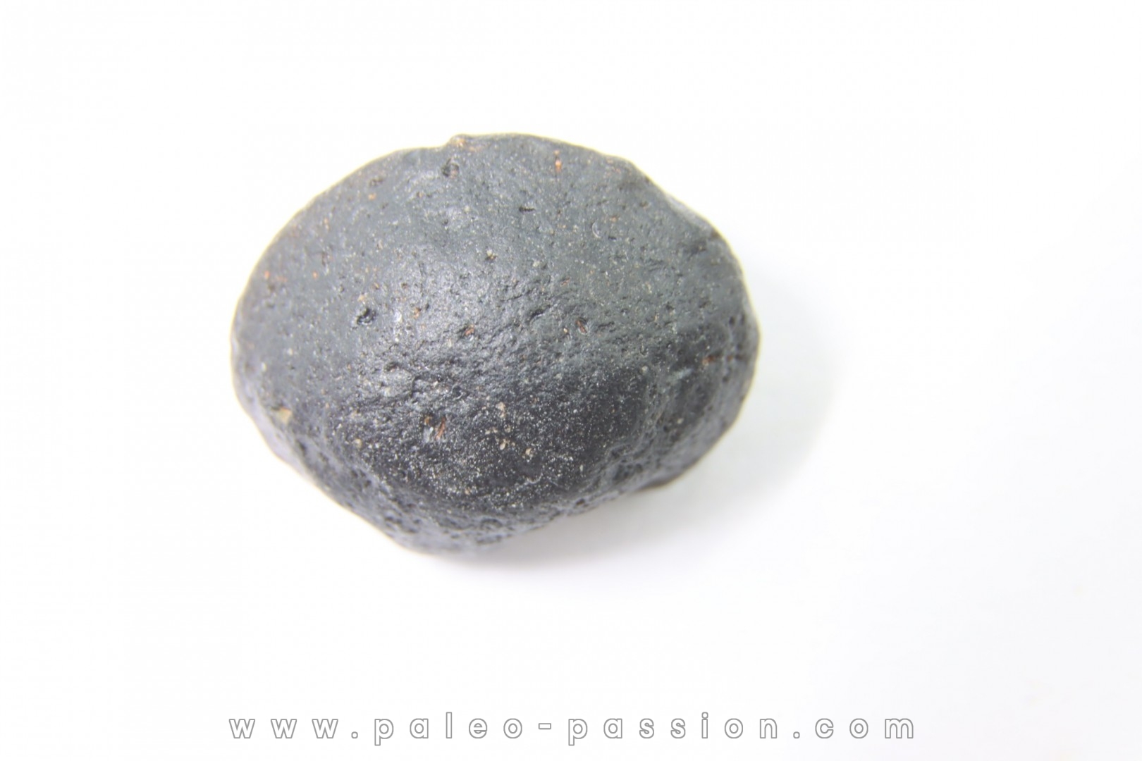 Tectite: AUSTRALITE - Australie