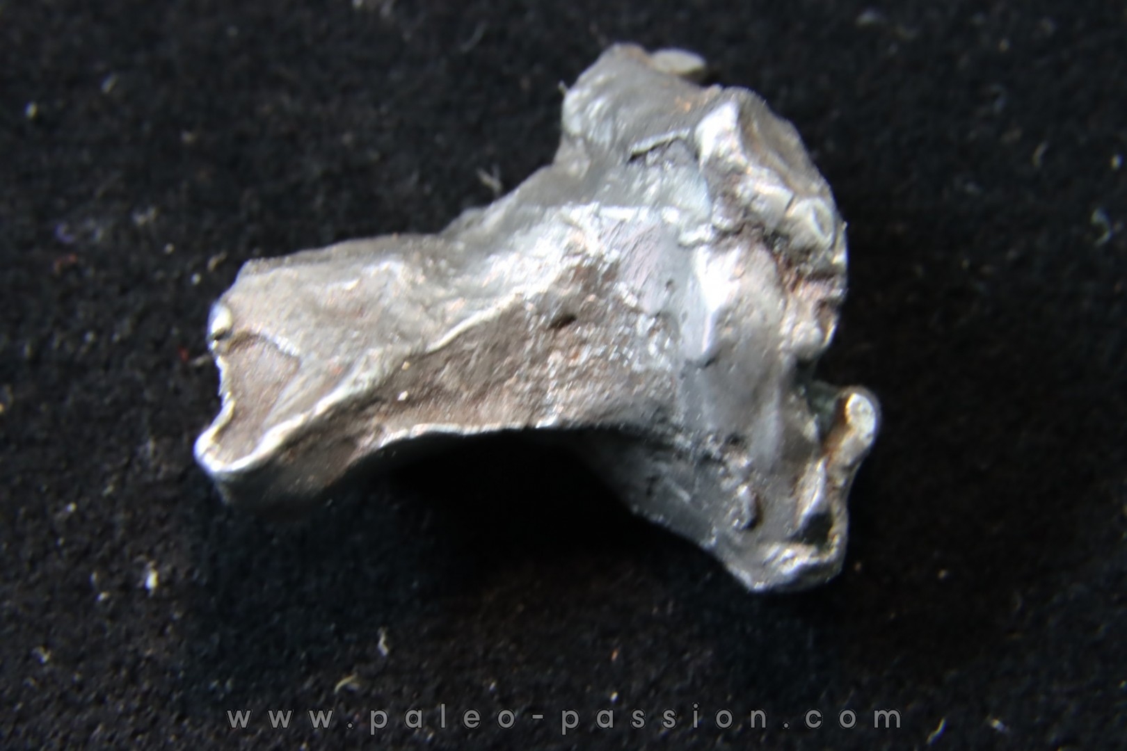 Météorite SIKHOTE ALIN - Russie