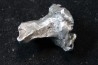 Météorite SIKHOTE ALIN - Russie