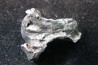 Météorite SIKHOTE ALIN - Russie