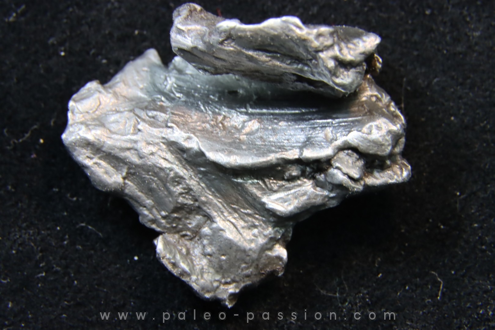 Météorite SIKHOTE ALIN - Russie