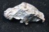 METEORITE SIDERITE SIKHOTE ALIN